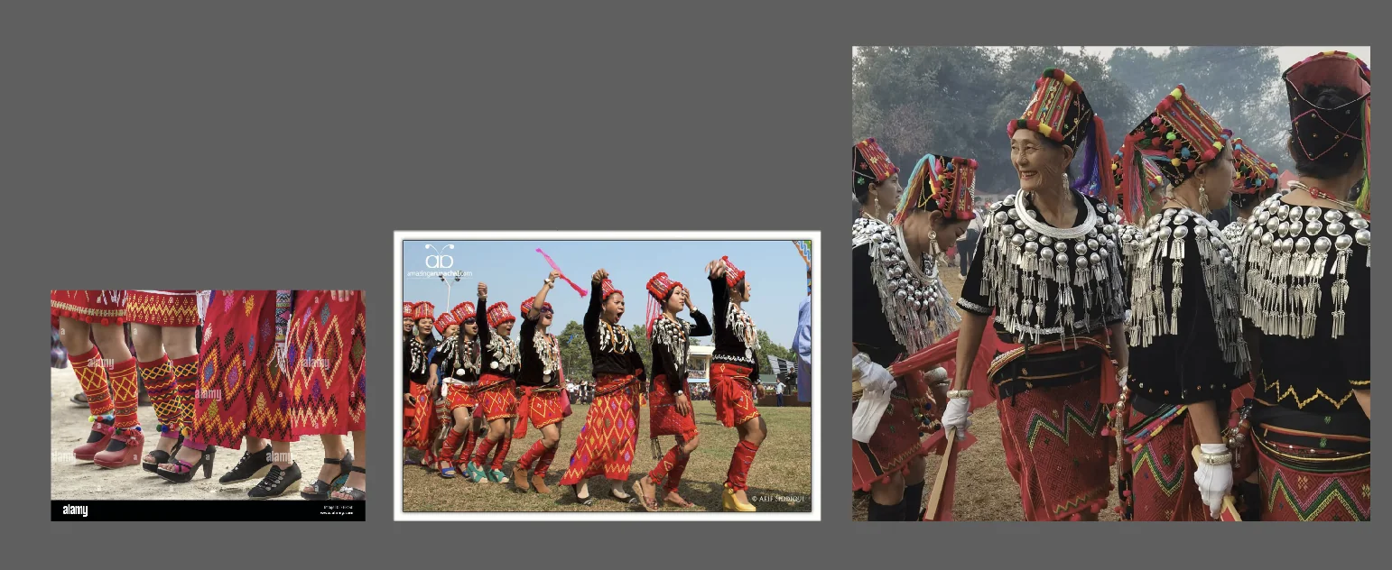 Singpho tribe textile reference